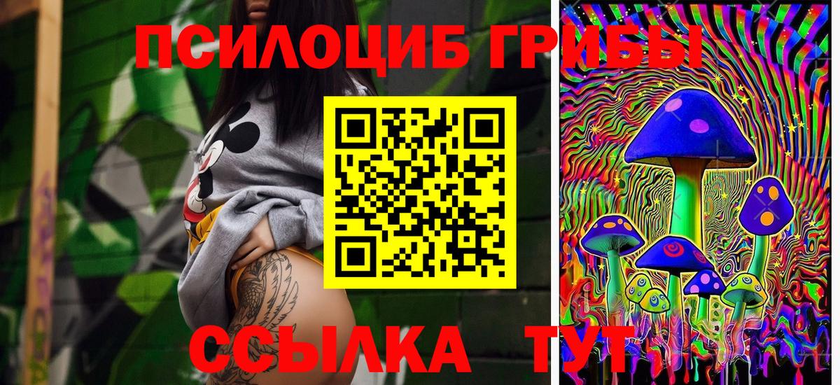 Галлюциногенные грибы прущие грибы Торжок