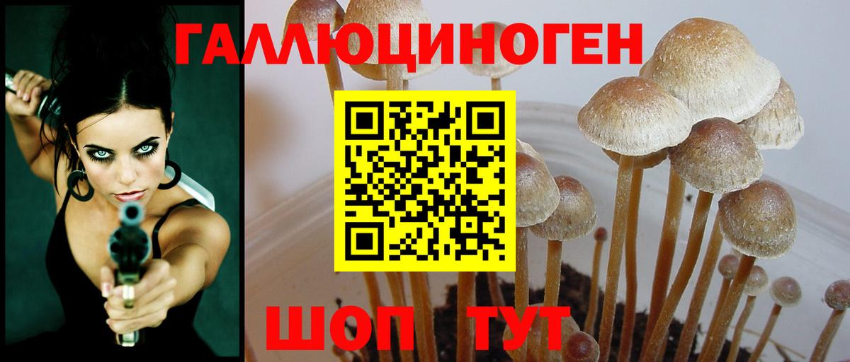 Галлюциногенные грибы мухоморы  Галлюциногенные грибы Psilocybe  наркота  Торжок  Вход с VPN 